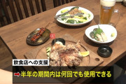 【GO TO キャンペーン】旅行代の半額、1人1泊につき最大2万円　利用回数に上限なし！飲食は1回につき最大1000円　何回でもOK！