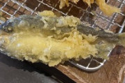 昼飯に稚鮎（あゆ）の天ぷらを食べてきたけど質問ある？（※画像あり）