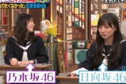 指原莉乃「欅坂だけ居ないって言っちゃいけない？」強心臓でワロタｗｗｗｗｗｗｗｗ
