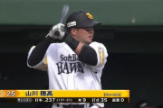 山川穂高 本塁打9本 打点35←こいつ強すぎやろ
