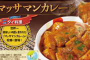 松屋のマッサマンカレーって美味い？