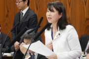 【パヨク】国民民主党・矢田わか子「政府はクルーズ船の感染拡大防止に失敗し国際的非難を…」　ネット「何も知らないの？」「議員をお辞め下さい