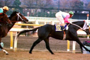 過去のジャパンカップ振り返って真っ先に思い浮かぶ馬は？