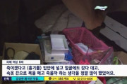 【韓国】「売春女性に首輪をつけて監禁、排泄物を食べさせる」･･･恐怖の事業主