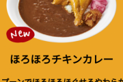 すき家のほろほろチキンカレーｗｗｗｗｗ