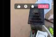 日本が圧倒する半導体重要部材「マスクブランクス」、中国の国産化率はわずか2％―中国メディア [7/14]