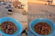 【動画】屋根の上の野良猫にFPVドローンで食事を届ける取り組みが人気に。