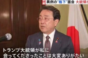日本の大臣、トランプ氏との会談後「格下と話してくれて感謝」←この発言が物議に「従順な犬」「情けないが有能」「誇りはないのか？」