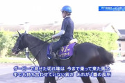 ●競馬の謎