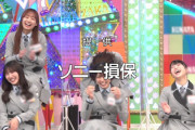 【日向坂46】次回『ひなあい』約束された神回！！！！！