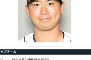 現時点でのWBC内定メンバーがこちらwwwwwwww