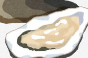 「加熱用のカキ」 ← これって生で食えるの？