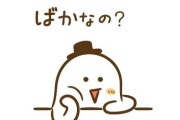 【動画像】トルコ人「日本人ってバカなの？」→驚愕の２０万いいね 完全に世界からバカにされてしまう