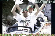【悲報】メキシコ代表、試合前日ディズニーランドで遊んでいたｗｗｗｗｗｗｗｗｗｗｗｗｗｗｗｗｗw