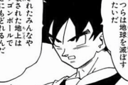 悟空「殺されたみんなや破壊された地上はドラゴンボールで戻れるんだ 気にすんな」←これ