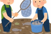 【謎】池の水全部抜く「カメ出ます！コイ出ます！昔の瓦出ます！」←廃れた理由