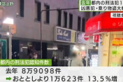 【日本オワタ】　日本国内で刑法犯の認知件数が急増・・・東京では、侵入強盗と強姦が６０％増加