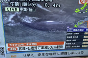 【速報】千葉の海岸にクジラが大量に打ち上げられる （画像あり）