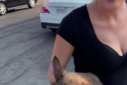 米・ロスアンゼルス　白人女性が黒人男性と口論になり抱えて居た仔犬を投げつける虐待行為、動画が拡散し批判殺到[10/19]