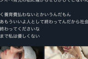 【閲覧注意】ホスト、妊婦の彼女をボコボコにしてしまうｗｗｗｗｗ