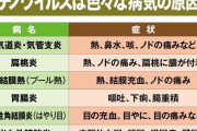 【アデノウイルス】子供の謎の急性肝炎、原因の可能性