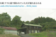 ＮＨＫのニュース見出しが日本語レベル低すぎると話題に