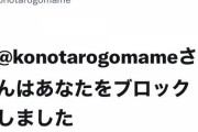 河野太郎大臣閣下、Twitterで国民をブロックする件について「問題ない」「ブロックされてもツイートを見れる、見たければご覧になればいい」【 #河野さんにブロックされています　】