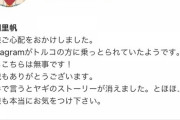 【悲報】吉岡里帆さん、トルコ人にインスタを乗っ取られてヤギのストーリーを消される