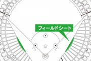 セ・リーグ5球団ファン「ナゴドの試合はつまらん」