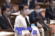 【超絶大悲報】俺たちの立憲・蓮舫さんのポストがまだ決まらない… 参院選で楽にしてあげようぜ？＾＾