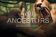 アサクリの生みの親が手掛けるオープンワールドサバイバルADV「Ancestors: The Humankind Odyssey」海外発売日が2019年12月6日に決定！（※追記、国内でも12/6発売決定！）