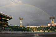 甲子園の虹きれい。
