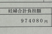 【画像】日本の妊娠・出産、ガチで金持ちの道楽だったｗｗｗｗｗｗｗｗｗｗ