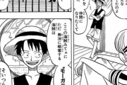 昔のルフィさん、言い回しが頭良さそうだったｗｗｗｗ