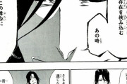 【BLEACH】月島さん「この能力は『無機物』にも通じるよ」