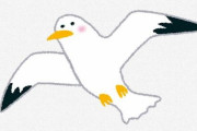 【鳥】カモメの大群で１時間にわたって空港閉鎖、常勤のハヤブサが出動して撃退　伊ベネチア