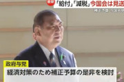 石破茂「現金給付も減税もやりません！やってもやらなくても叩かれるのでやらない方がマシ！！！」