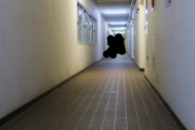 【微閲覧注意】こういう廊下が怖いやつwww