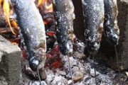 川で取った魚を串にさして焚き火で焼くアレｗｗｗｗ