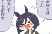 【ウマ娘】このフラッシュさんは掛かってますねぇ・・・？（ﾇｷﾞﾇｷﾞ）