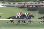 【競馬】サートゥルナーリア引退　社台ＳＳで種牡馬入り