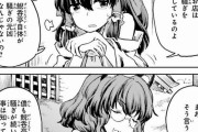 【東方】霊夢とマミゾウは意外と仲がいい？