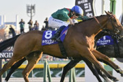 欧州競馬は血統も馬場も別物。凱旋門を日本が取れないように府中で走るわけがない←これww