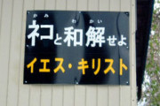 「ネコ好きは無神論者」「神に求めるものをネコで代用している」という研究結果  ネコと和解せよ