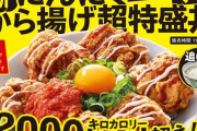 吉野家「にんにくマシマシから揚げ超特盛丼」関東限定発売