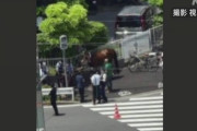 【東京】品川で馬と車が衝突！？ 競馬場の馬小屋から逃走か
