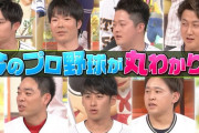 【実況】ジョブチューンプロ野球SP 19:00～ 板東湧梧が出演