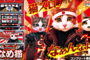 【朗報】パチスロ最新台なめ猫ｗｗｗｗｗｗｗｗｗｗｗ