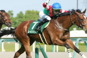 【葵S】13番人気レイハリアがハナ差制す！3連勝で人馬ともに重賞初制覇