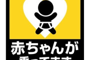 車「赤ちゃんが乗っています」←だからなんだよwwwwww